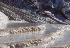 每一个包装设计的背后都有一个故事