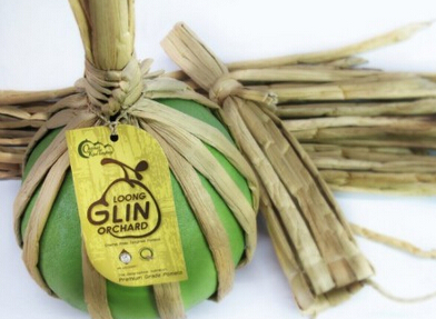 别具一格的柚子食品包装设计