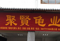 祝贺相成设计与广西聚贤龟业达成品牌形象logo设