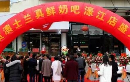 星空电子设计原创的濠江最牛奶吧店面设计出现了